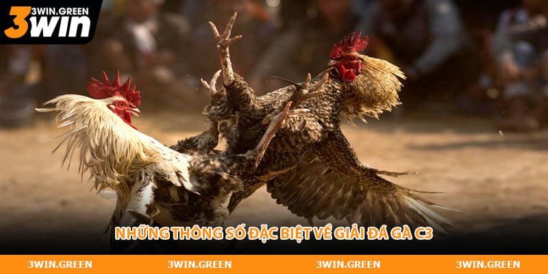 Những thông số đặc biệt về giải đá gà C3